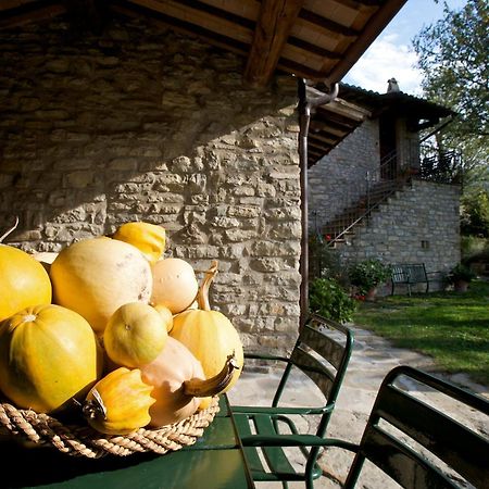 Brigolante Guest Apartments Assisi Rom bilde